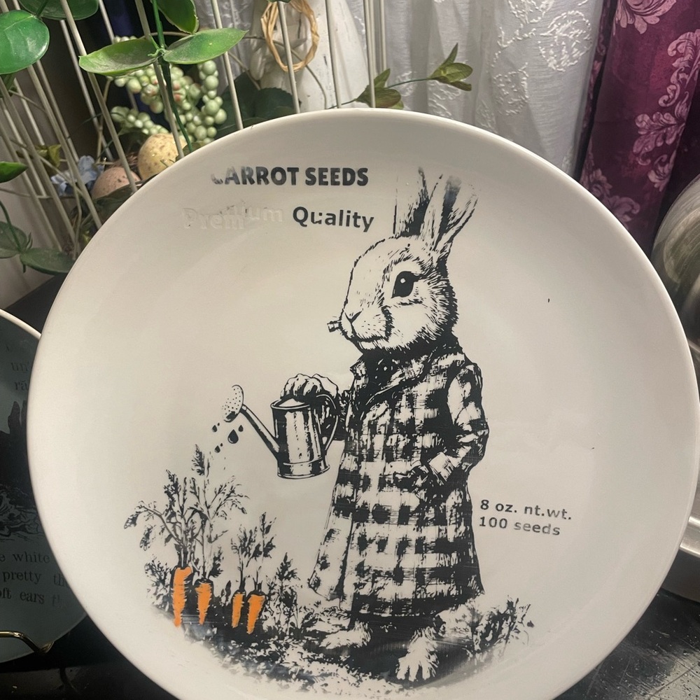 Carrot Seeds Decorative Plate
